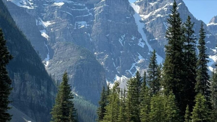 Banff:Lake Louise & Moraine Lake 1/2 Day Tour Canoe/Sightsee - Vermilion Lakes Finish the Day With Reflections