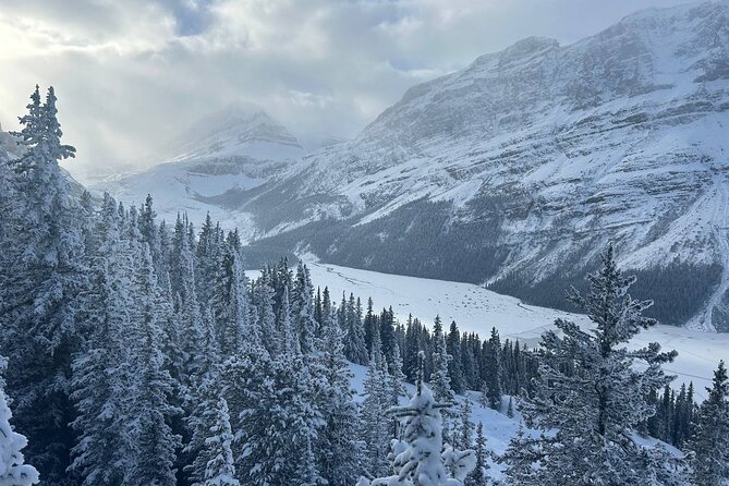 Banff Lakes and Canyon Adventure - The long drives are part of the deal