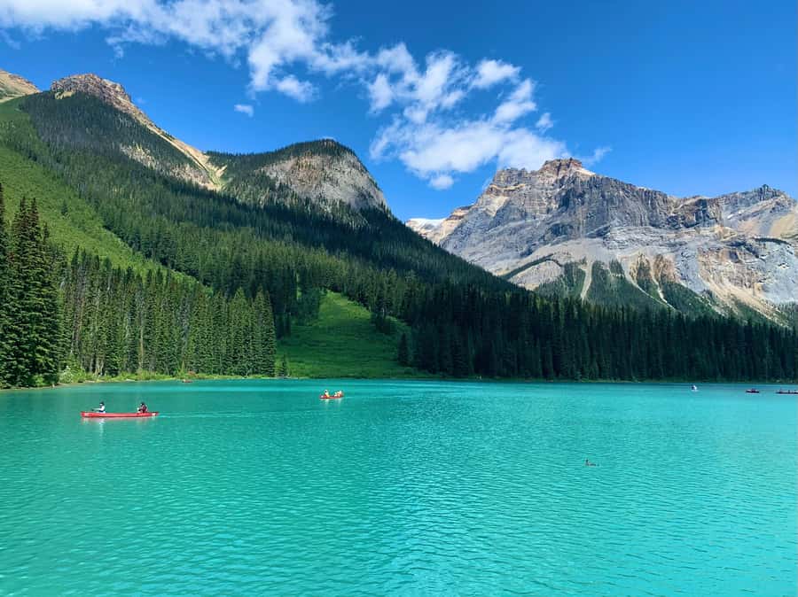 Banff: Moraine Lake, Lake Louise, Emerald Lake and Yoho Trip - Lunch is practical, not a food highlight