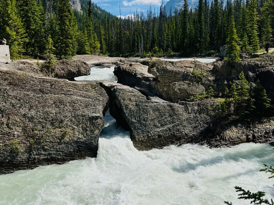 Banff: Moraine Lake, Lake Louise, Emerald Lake and Yoho Trip - The guides make a real difference