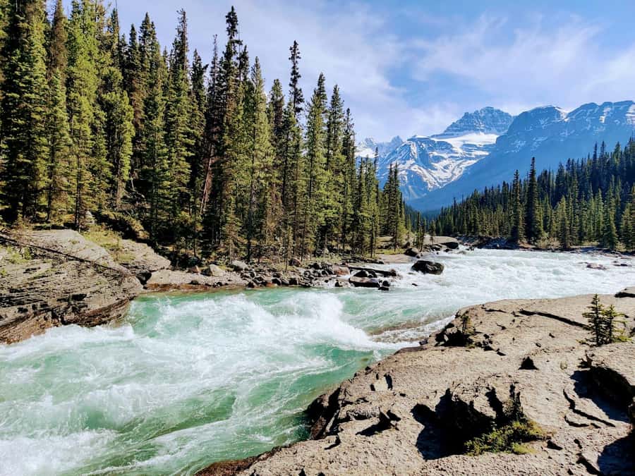 Banff: Moraine Lake, Lake Louise, Emerald Lake and Yoho Trip - Lake Louise gives you the classic first look