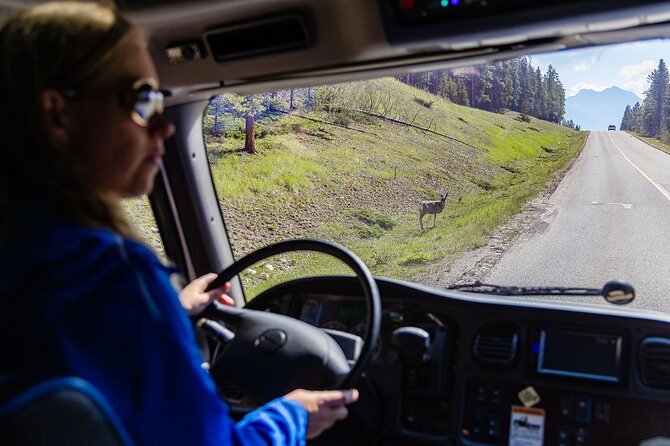 Banff Morning Tour Scenic Highlights and Gondola Ride - The Hoodoos Trail viewpoint