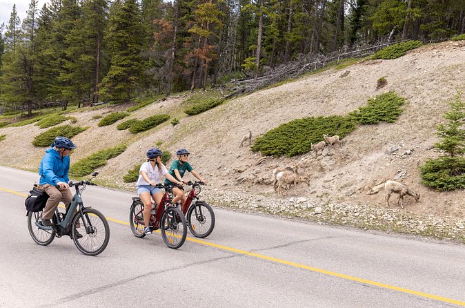 Banff Mountain Lakeside - E-bike Tour - Two Jack Lake brings another kind of beauty