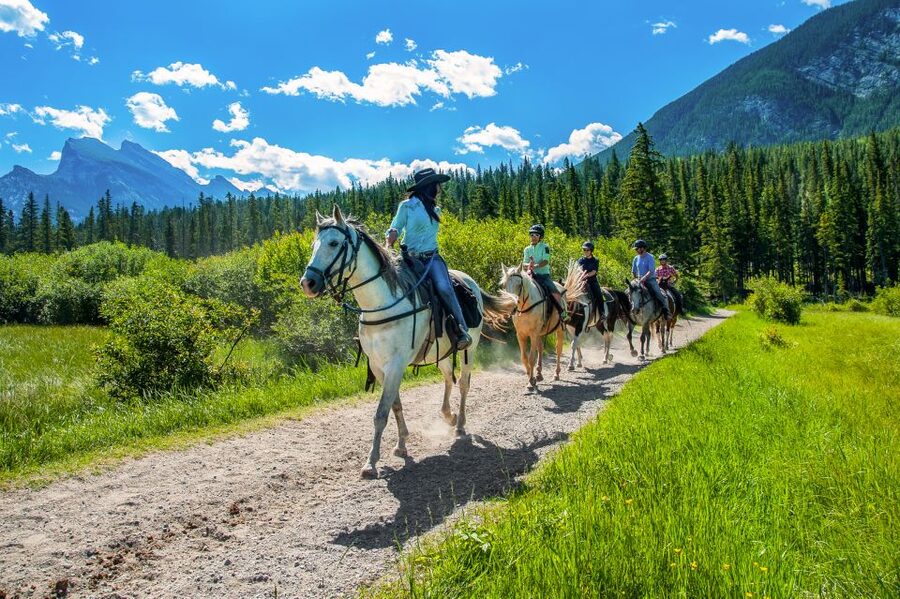 Banff National Park: 1-Hour Bow River Horseback Ride - Gentle Horses and a Beginner-Friendly Pace