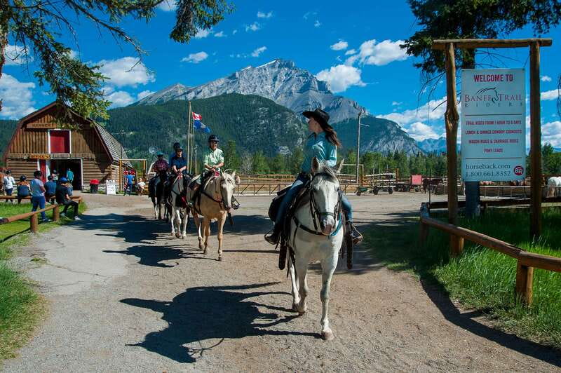 Banff National Park: 2-Hour Sundance Loop Horseback Ride - Marshes that are hard to cross on foot