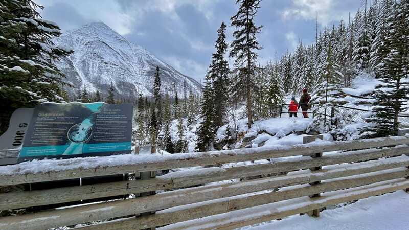 Banff National Park: Canyons, Lakes & Local Favourites - Two Jack Lake ends the day on a quieter note