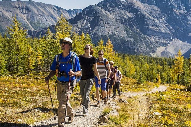 Banff National Park Guided Hike with Lunch - The Plain of Six Glaciers from Lake Louise