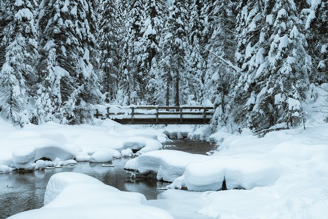 Banff National Park & Lake Louise FULL DAY PRIVATE TOUR - Booking advice and cancellation details