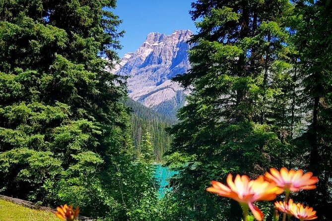 Banff National Park Moraine Lake and Lake Louise Explorer Tour - Pickup details need close attention