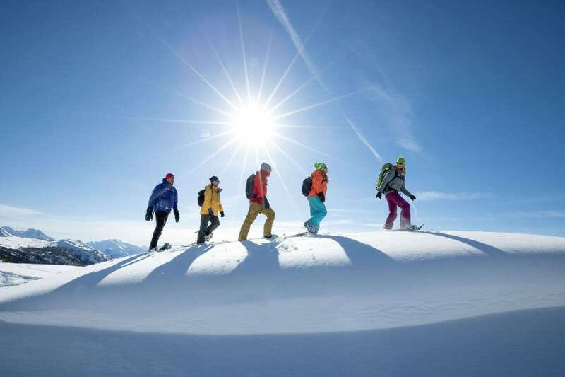 Banff National Park: Sunshine Meadows Snowshoeing Experience - Key points at a glance