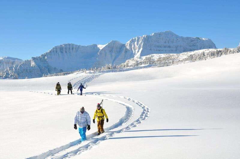 Banff National Park: Sunshine Meadows Snowshoeing Experience - Clear skies, snowfall, and the honest tradeoff