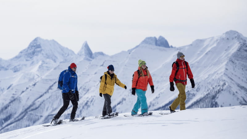 Banff National Park: Sunshine Meadows Snowshoeing Experience - Who will enjoy this outing most
