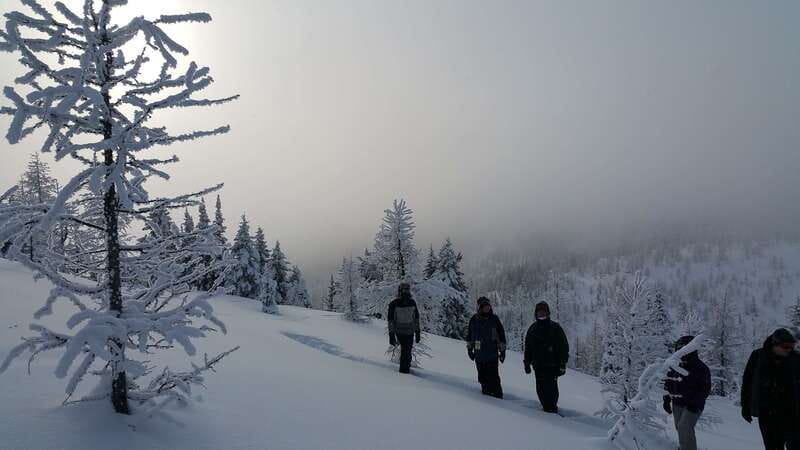 Banff National Park: Sunshine Meadows Snowshoeing Experience - From the Mount Royal Hotel to Sunshine Village