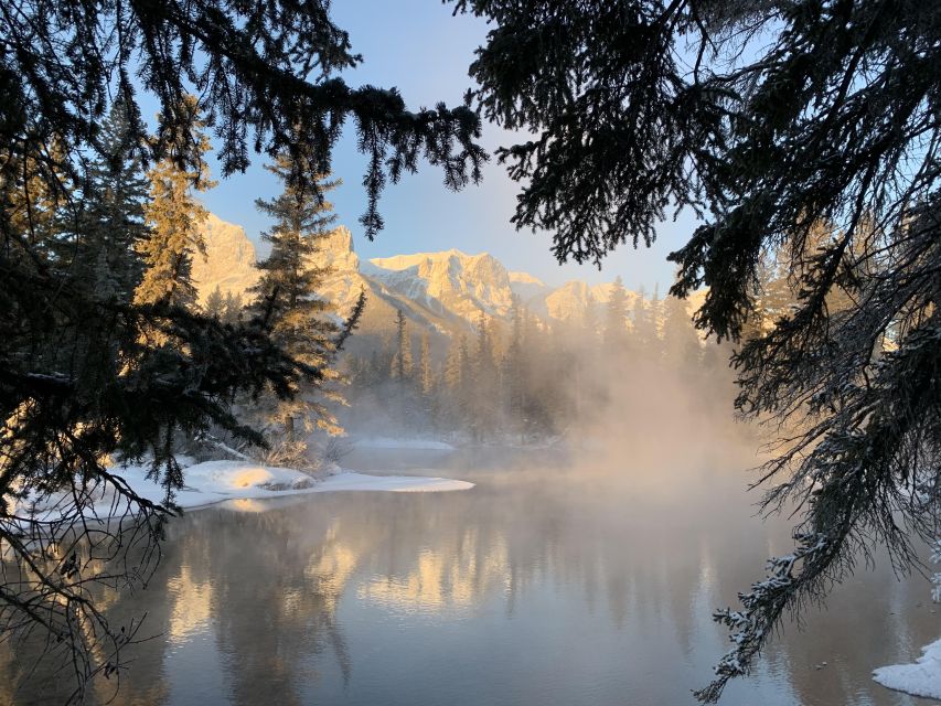 Banff PRIVATE Guided Nature Walk + Transportation - 2.5H - The return ride to Cave and Basin