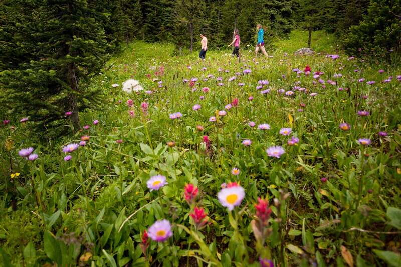 Banff PRIVATE Guided Nature Walk + Transportation - 2.5H - Why this private Banff walk feels different