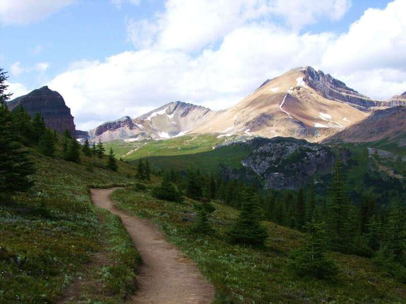 Banff PRIVATE Guided Nature Walk + Transportation - 2.5H - What your guide adds to the scenery