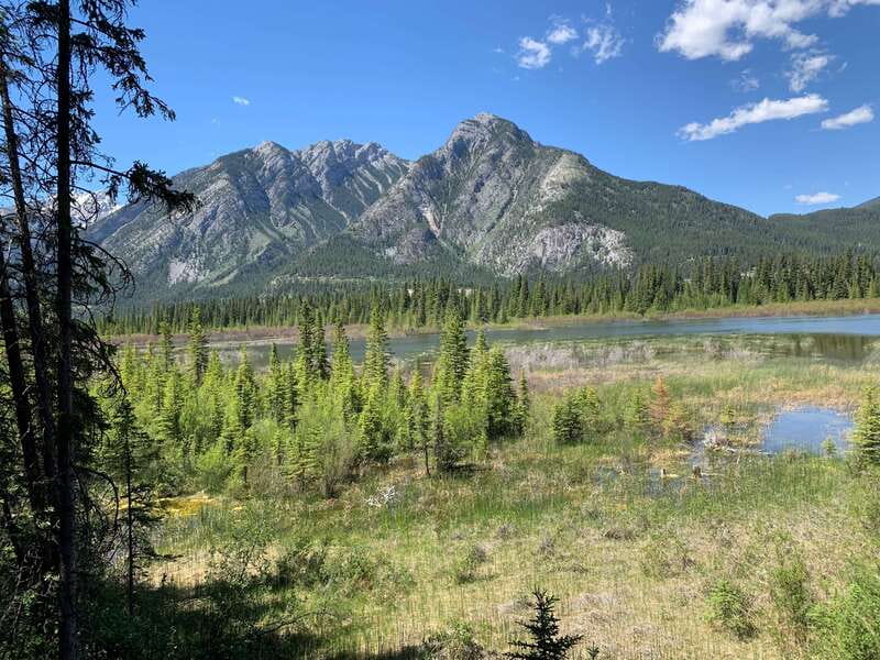 Banff PRIVATE Guided Nature Walk + Transportation - 2.5H - Starting at Cave and Basin National Historic Site