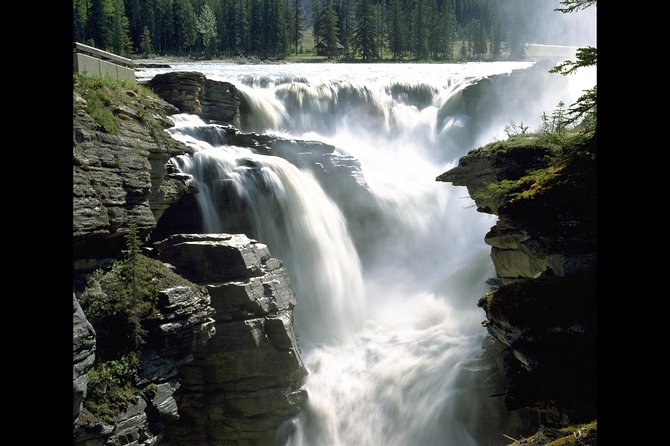 Banff to Jasper One-Way Tour - Is $260.98 good value?