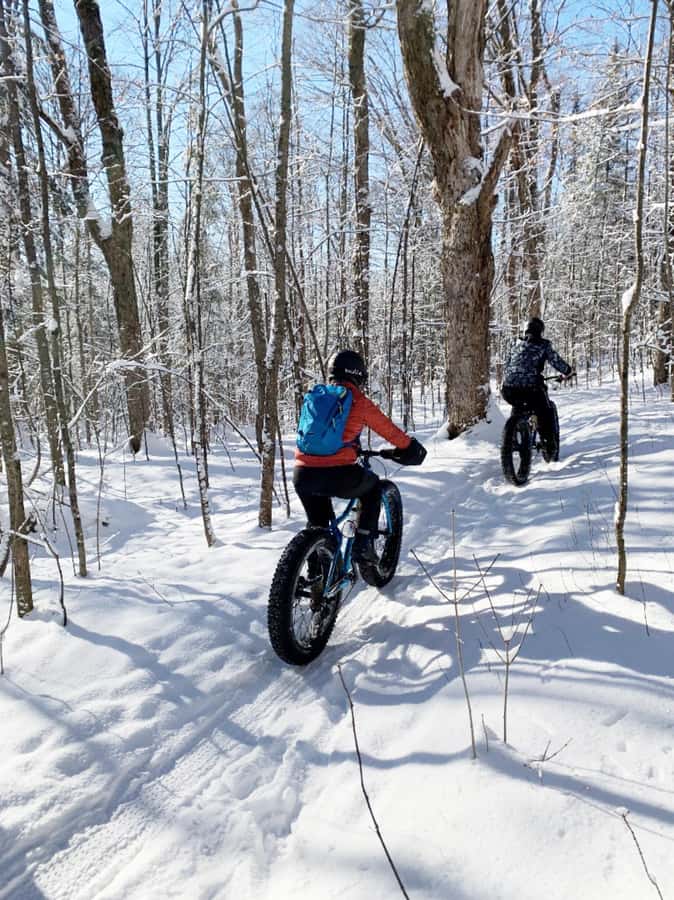 Banff Top Sights via Electric Fat Bike Tour All Skill Levels - Key points for your Banff ride