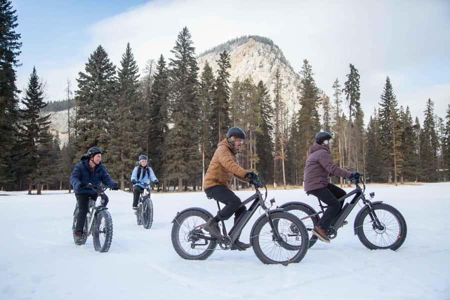 Banff Top Sights via Electric Fat Bike Tour All Skill Levels - How much value do you get for $137?