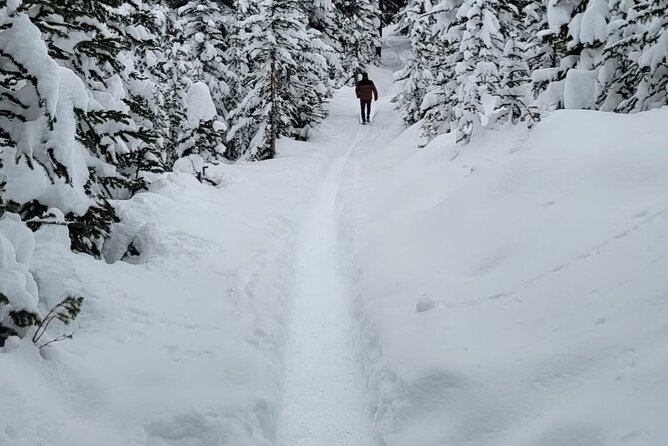 Banff Town, Lake Louise, Moraine, Emerald & Canyon Day Trip - Johnston Canyon is the day’s best short walk