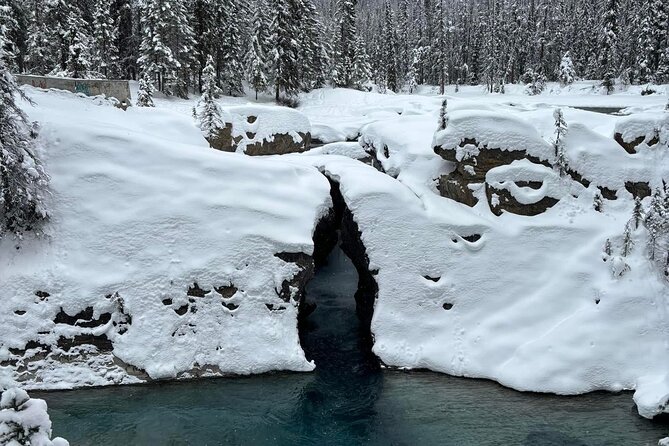 Banff Town ,Lake Louise, Moraine , Emerald & Johnston Canyon Tour - Johnston Canyon: the day’s best walking stop