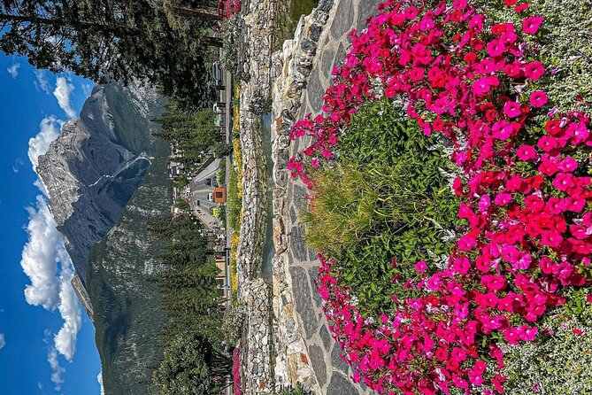 Banff Town Walking Tour Includes Refreshment and Sweet Treat - Who will enjoy this Banff walking tour?