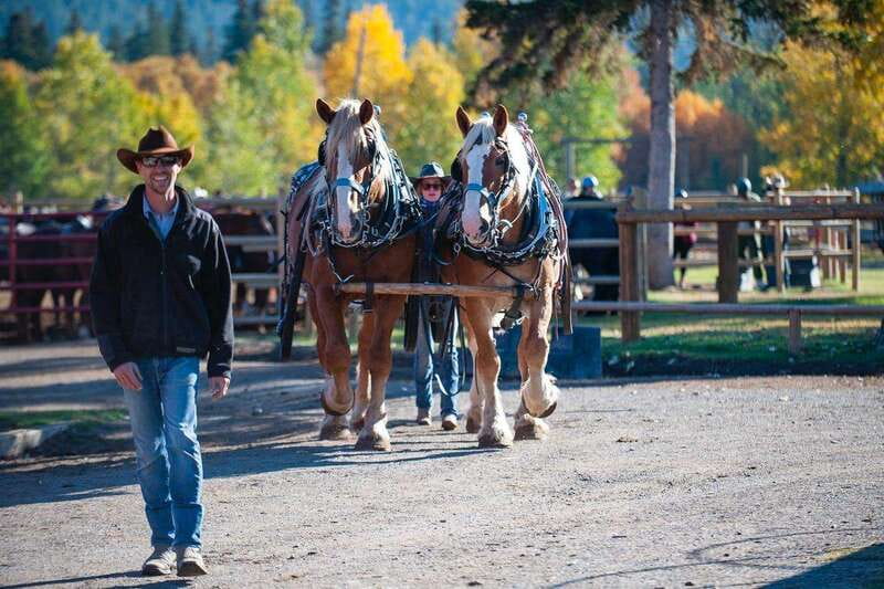 Banff: Wagon Ride with Cowboy Cookout BBQ - Key points to know before you book