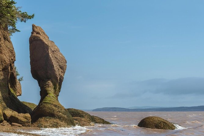 Bay of Fundy Tour by Bus - Key points to know before you book