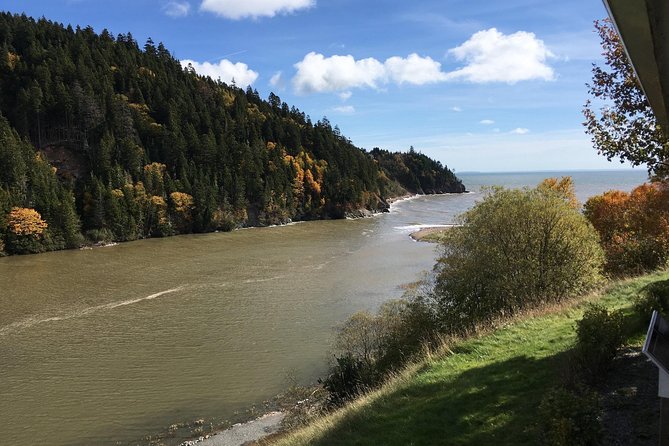 Bay of Fundy Tour by Bus - Saint John City Market brings you back into town