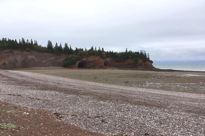 Bay of Fundy Tour by Bus - The four-hour coastal run is where the tour earns its price