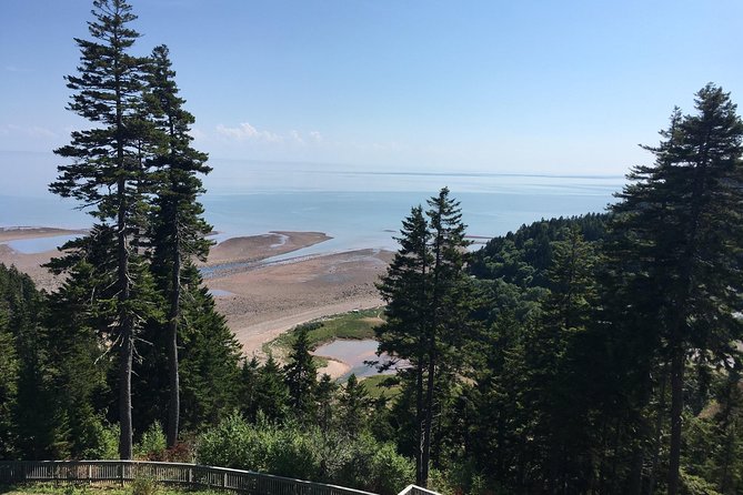 Bay of Fundy Tour by Bus - Guide quality can shape the whole day