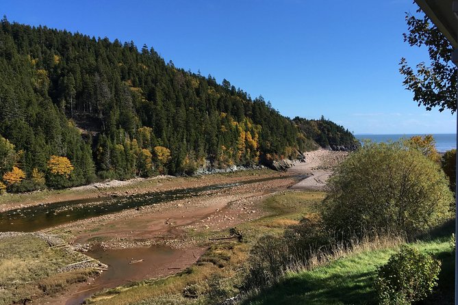 Bay of Fundy Tour by Bus - Is $99 good value?
