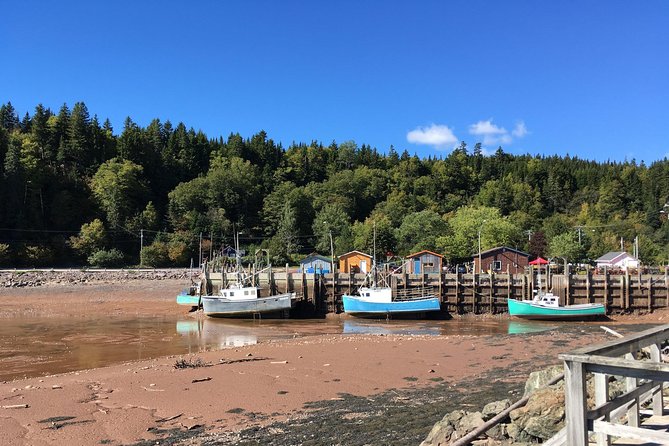 Bay of Fundy Tour by Bus - Who should choose this bus tour?
