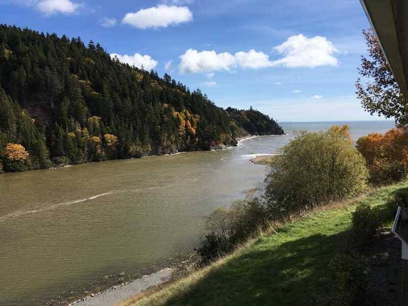 Bay of Fundy Tour by Mini Van - Saint John City Market: a local finish before the ship