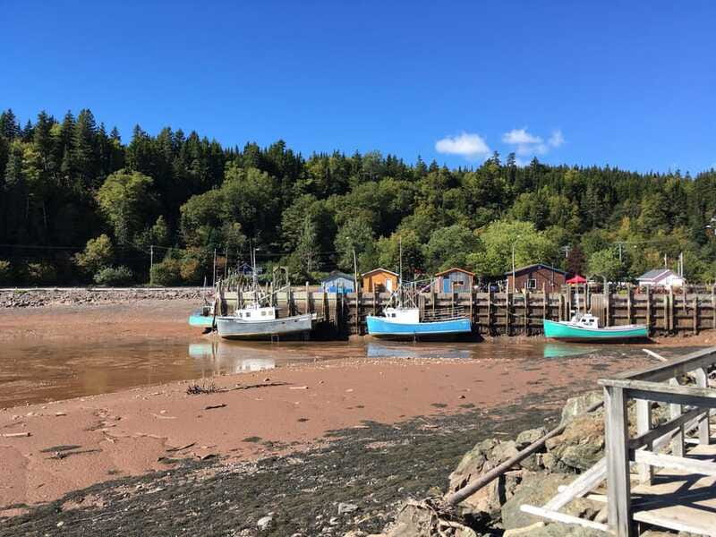 Bay of Fundy Tour by Mini Van - The van question matters more than the price