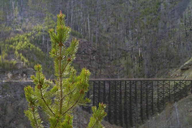 Bicyle Tour on Historical Kettle Valley Railway from Myra Canyon to Penticton - The Adria tunnel is a memorable second-half feature