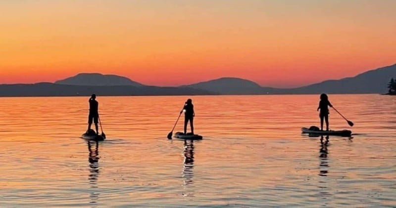 Brentwood Bay: Bioluminescence Tour - Key points to know before you book