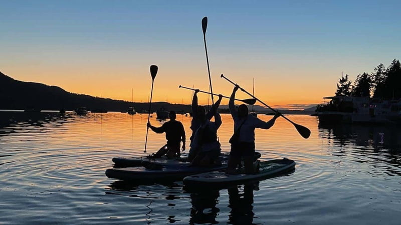 Brentwood Bay: Bioluminescence Tour - Who should book this Brentwood Bay outing