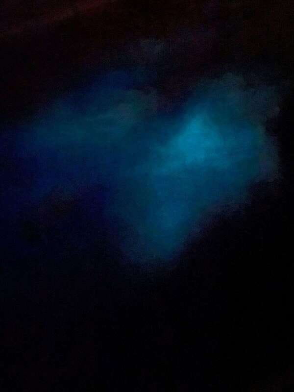 Brentwood Bay: Bioluminescence Tour - Why the water glows after sunset