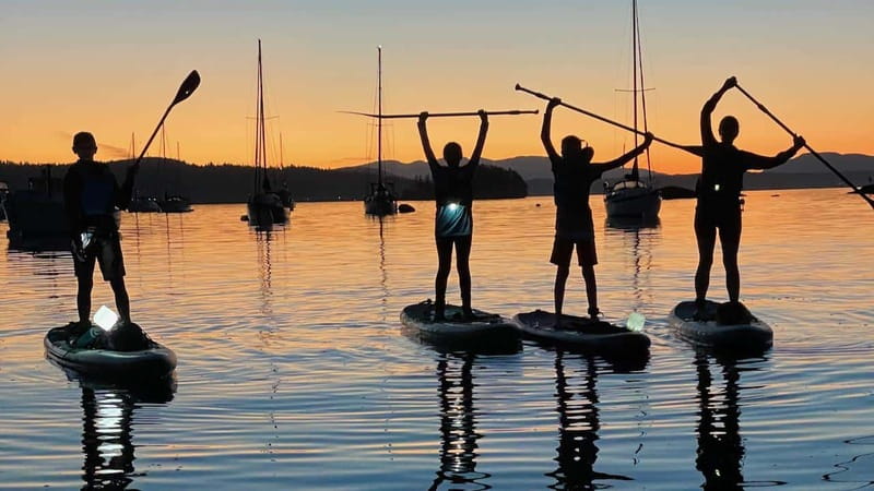 Brentwood Bay: Bioluminescence Tour - When the season and sunset timing matter