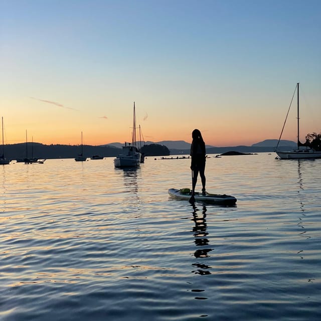 Brentwood Bay: Bioluminescence Tour - What you get for $74