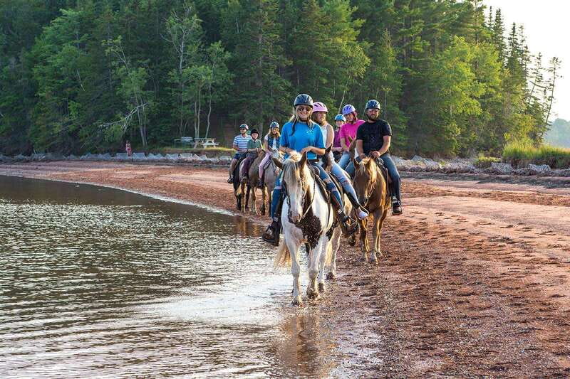 Brudenell: Family-Friendly Horse Ride goes on the Beach - Key points to know before you book