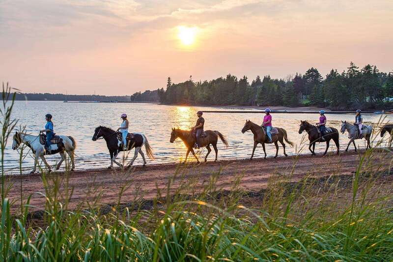 Brudenell: Family-Friendly Horse Ride goes on the Beach - Starting at Brudenell Riding Stables