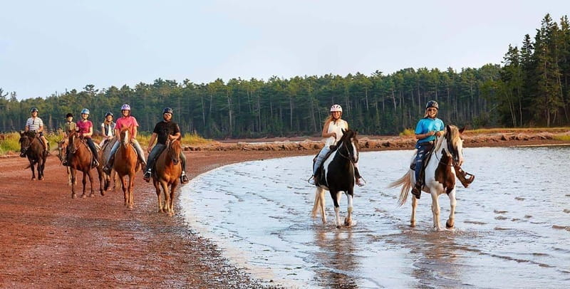 Brudenell: Family-Friendly Horse Ride goes on the Beach - Following the wooded trail toward the river