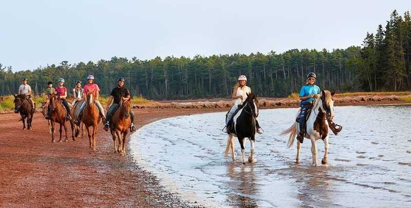 Brudenell: Family-Friendly Horse Ride goes on the Beach - Timing, clothing, and small rules that matter