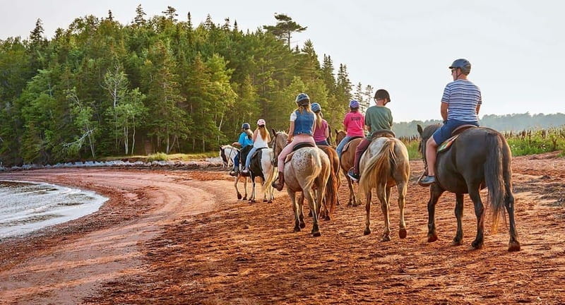 Brudenell: Family-Friendly Horse Ride goes on the Beach - Meeting a calm horse and getting ready