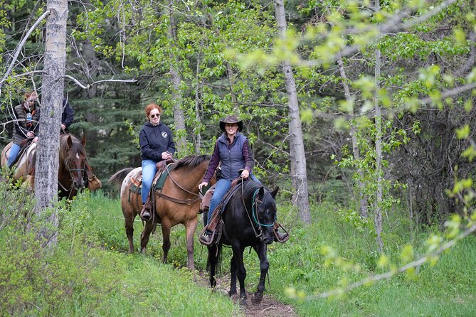 Buffalo Loop 1-Hour Horseback Trail Ride in Kananaskis - Key points at a glance
