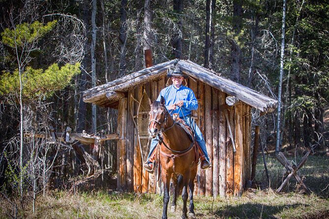 Buffalo Loop 1-Hour Horseback Trail Ride in Kananaskis - A gentle introduction to riding in Kananaskis