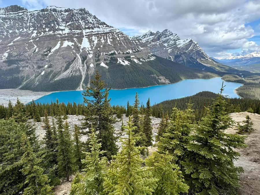 Calgary Banff: Columbia Icefield, Skywalk and Lakes Day Tour - An early start from three mountain towns